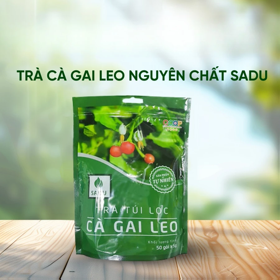 Trà Cà Gai Leo Giải Độc