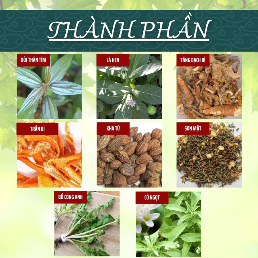Trà Dồi Thân Tím - Ảnh 3