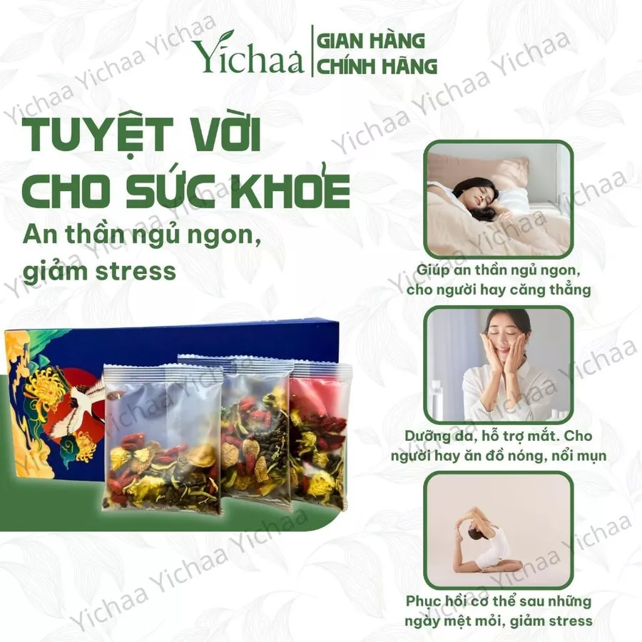 Trà Hoa Cúc - Ảnh 2