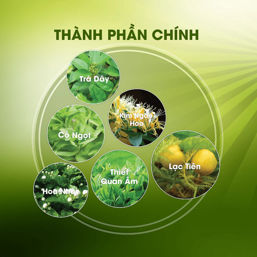 Trà Hoàng Thảo Mộc - Ảnh 2