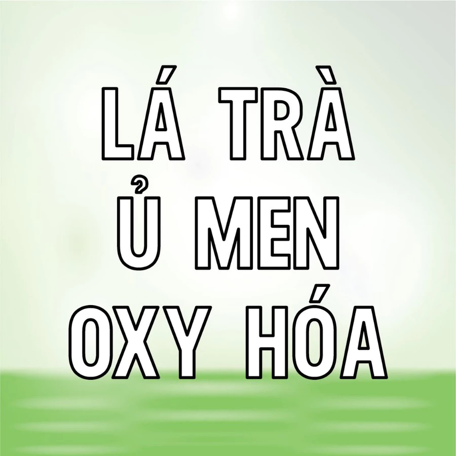 Trà Nhài Hương - Ảnh 2