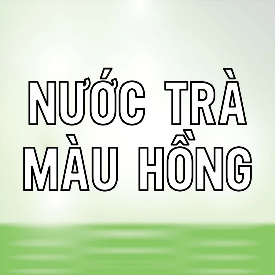 Trà Nhài Hương - Ảnh 3