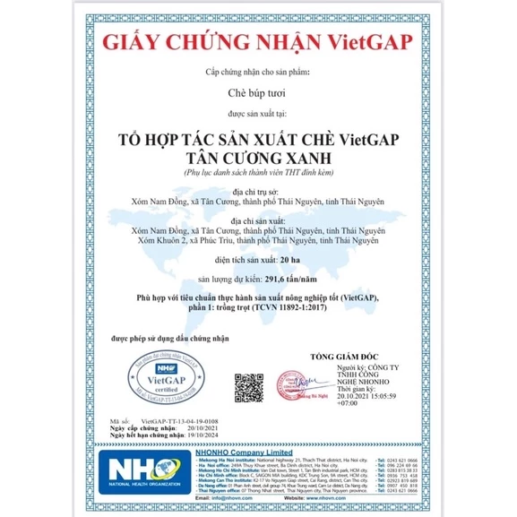 Trà Ướp Nhài - Ảnh 3